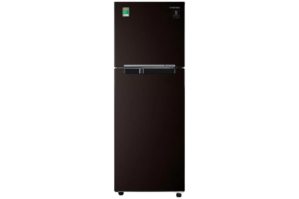 Samsung Inverter 236 lít RT22M4032BY SV