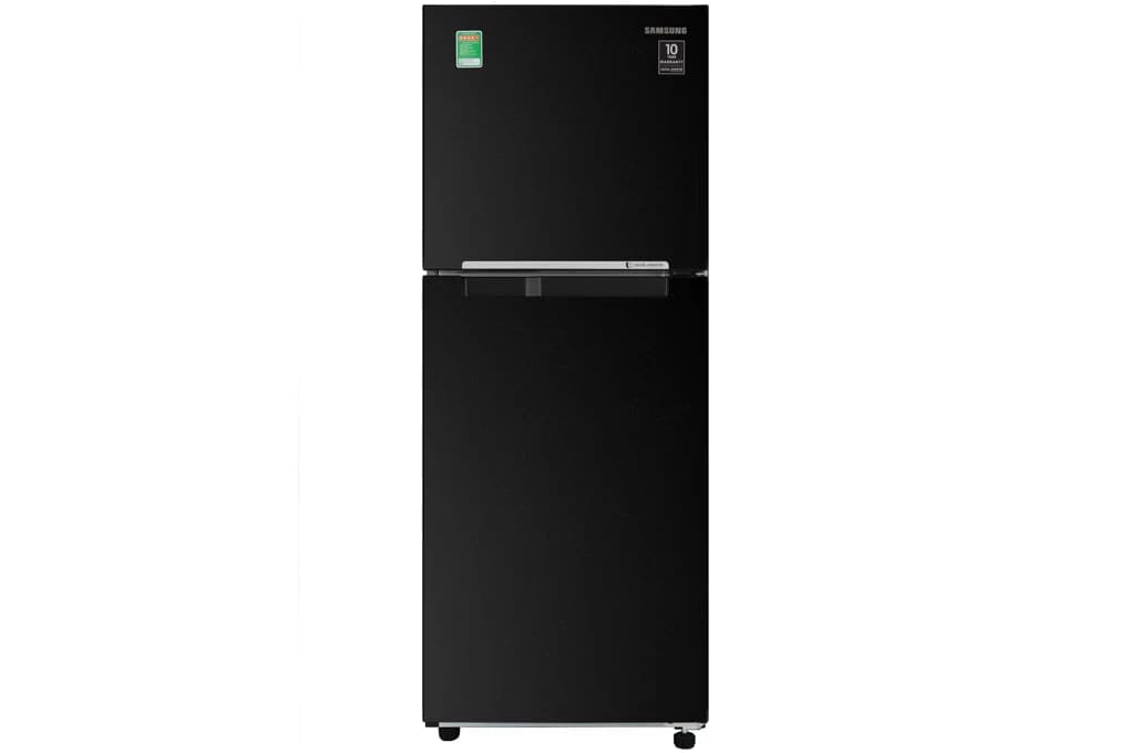 Samsung Inverter 216 lít RT20HAR8DBU SV