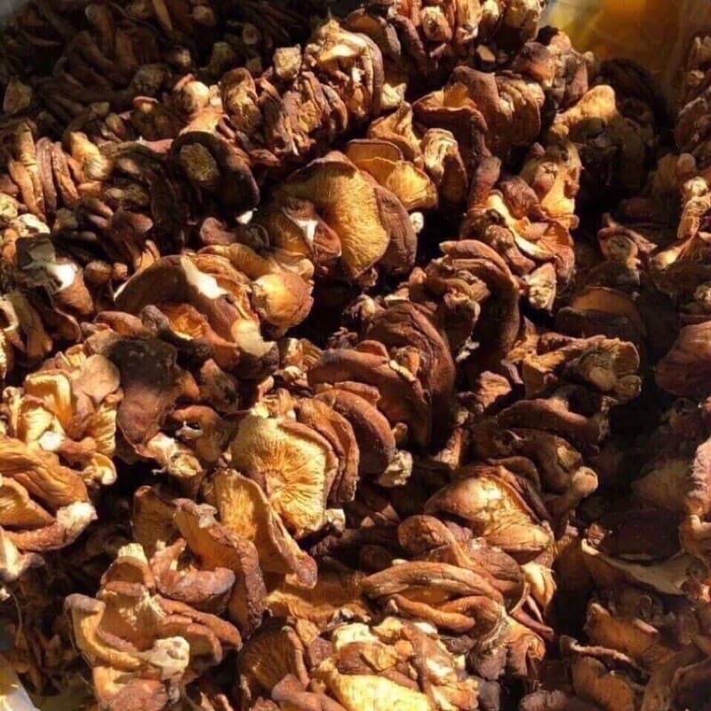 Nấm Hương Rừng SaPa Loại 1 500g