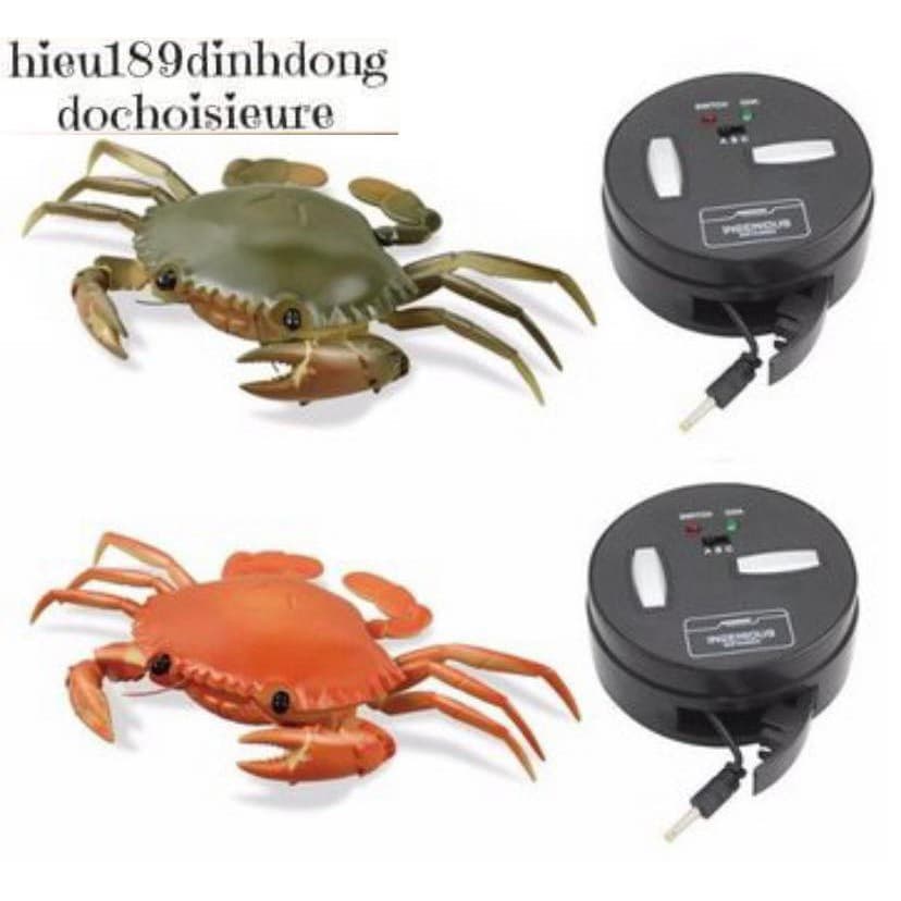 Đồ chơi con cua Điều khiển từ xa loại có đèn rẻ đẹp chất lượng (ảnh thật) (Khách hàng chat chọn màu)