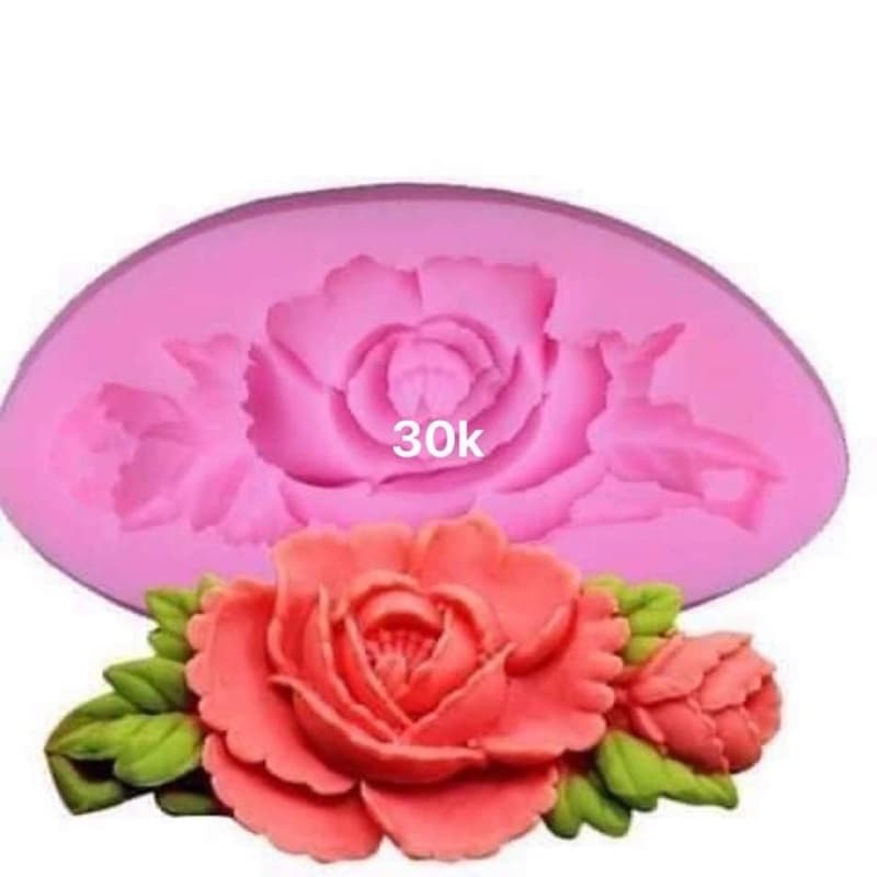 Khuôn silicon hồng leo đơn mã DH1