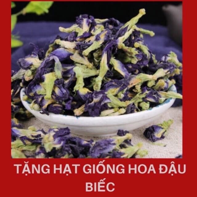 Hoa đậu biếc hoa đậu biếc