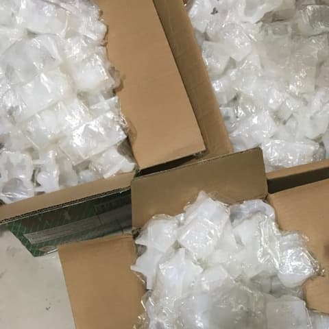 10 con heo tắm tiên silicon