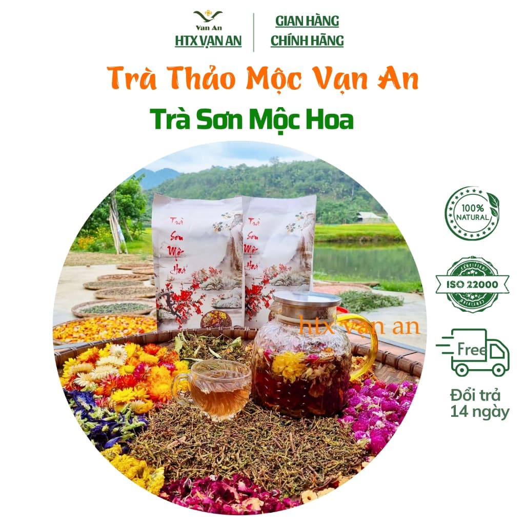 Sơn Mộc Hoa Trà Thảo Mộc Tây Bắc HTX Vạn An Thanh Nhiệt Mát Gan Đẹp Da Ngủ Ngon Giảm Cân