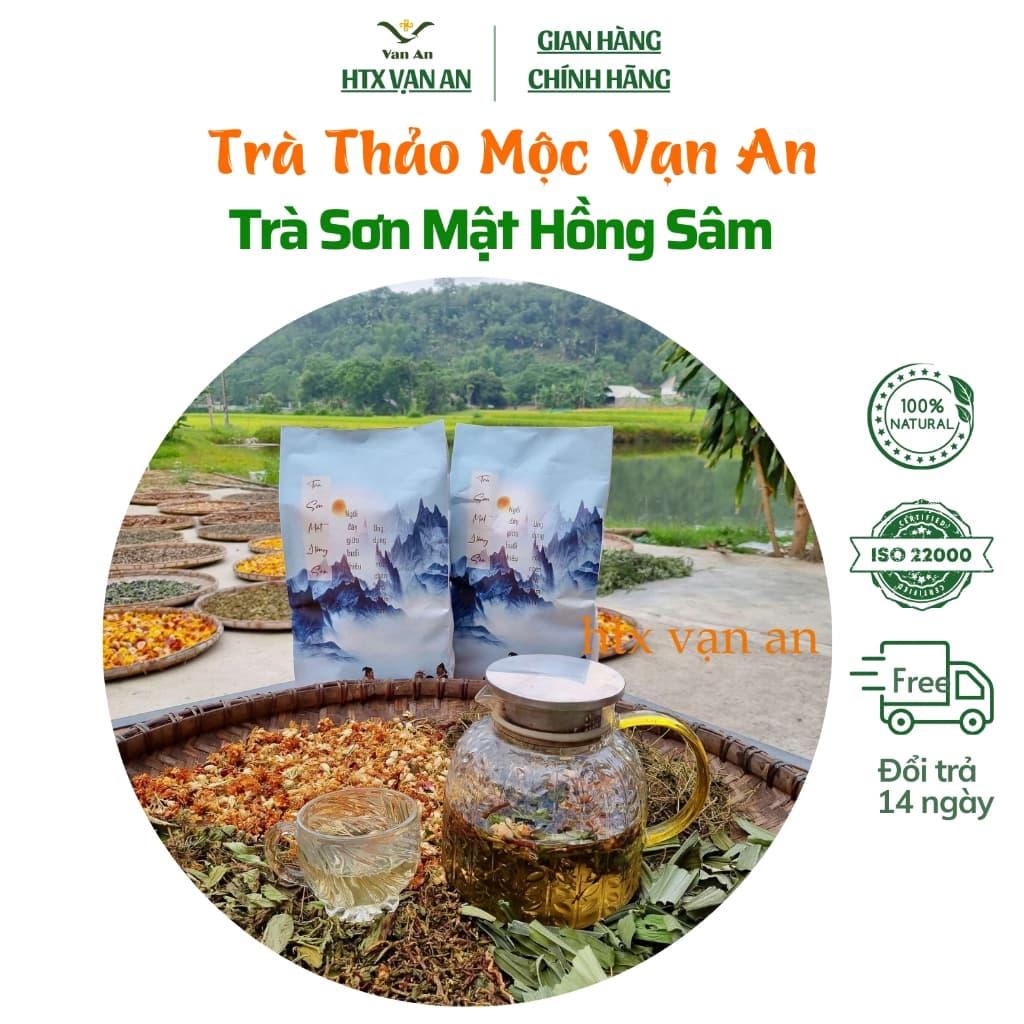 Trà sơn mật hồng sâm Sa Pa kết hợp từ 5 loại thảo dược quý thanh nhiệt giải độc ngủ ngon