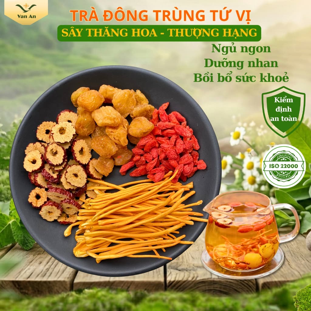 Trà Đông Trùng Hạ ThảoTứ Vị Vạn An Tăng Cường Sức Khoẻ Đẹp Da Ngủ Ngon Chống Lão Hoá