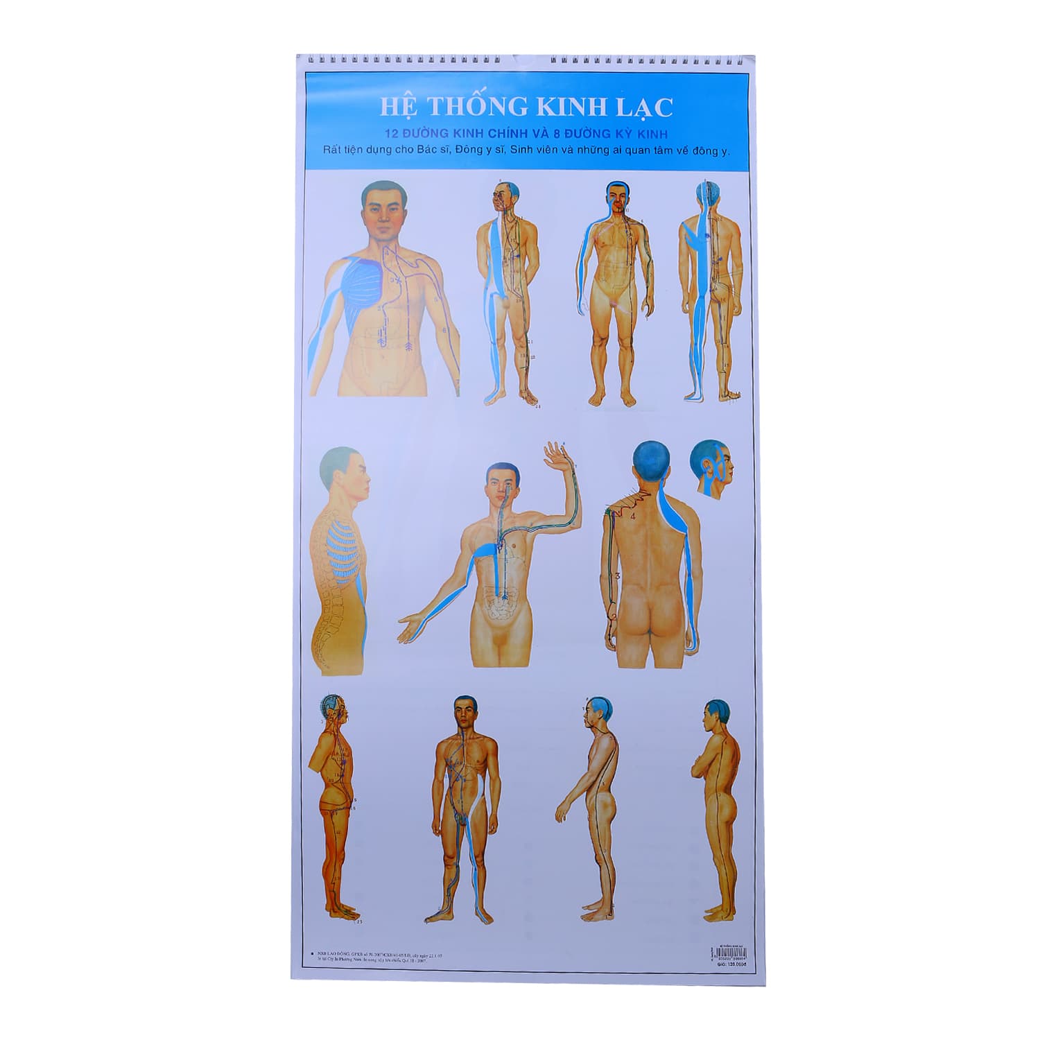Sách Tranh Hệ Thống Kinh Lạc 12 Đường Kinh Chính Và 8 Đường Kỳ Kinh
