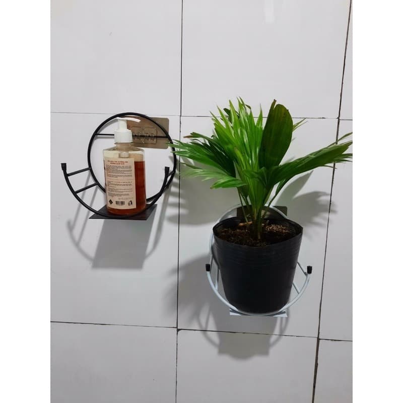Kệ Treo Trang Trí Hình Bán Nguyệt Dán Tường Tiện Dụng Giá Treo Chậu Hoa Ban Công Phòng Khách Phong Cách Hiện Đại MINIIN Combo 5c