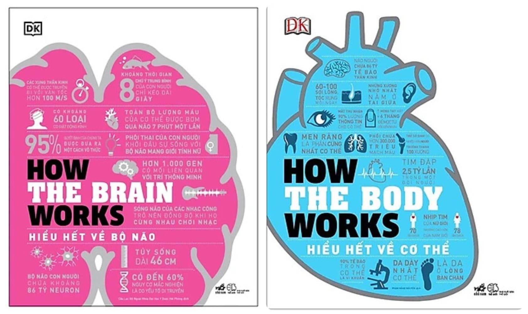Combo 2Q Hiểu Hết Về Bộ Não How The Brain Works Hiểu Hết Về Cơ Thể How The Body Works