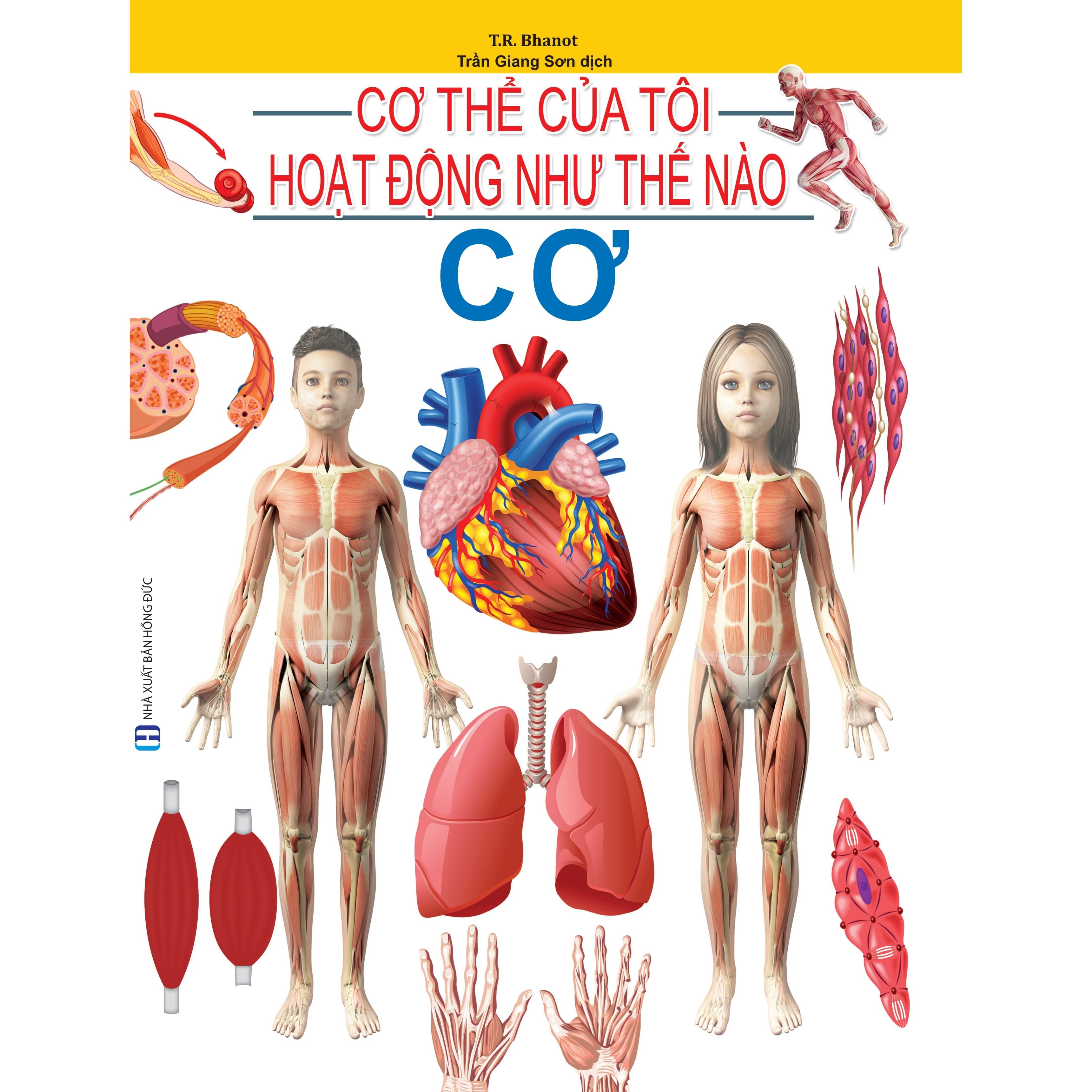 Cơ Thể Của Tôi Hoạt Động Như Thế Nào Cơ