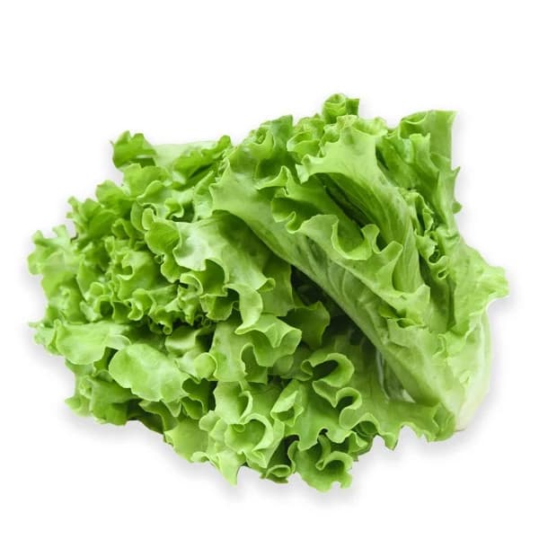 Chỉ Giao HCM Xà Lách Hữu Cơ 250g