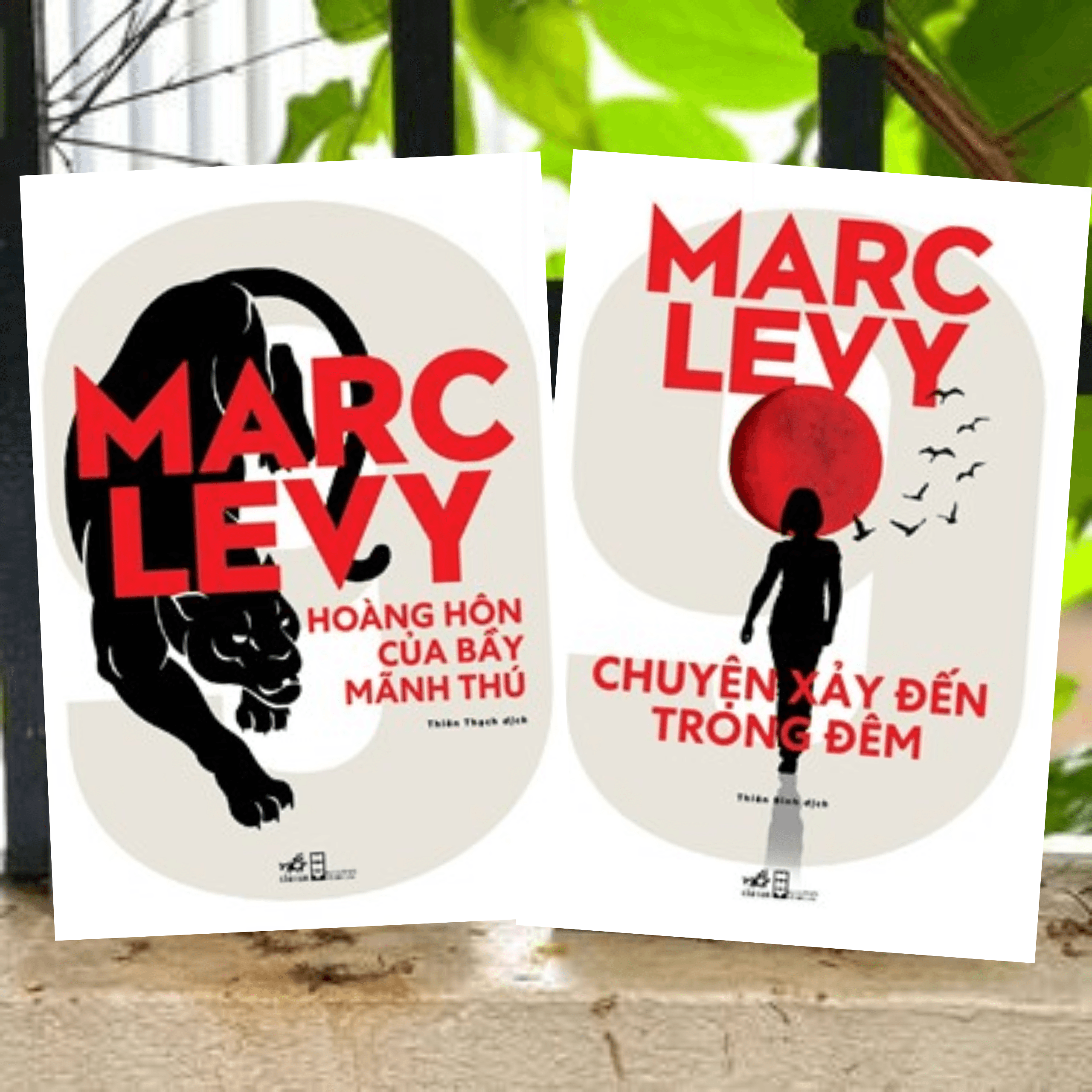 Combo 2Q Tiểu Thuyết Gay Cấn Được Chuyển Thể Thành Phim Tác Giả Marc Levy Hoàng Hôn Của Bày Mãnh Thú Chuyện Xảy Ra Trong Đêm