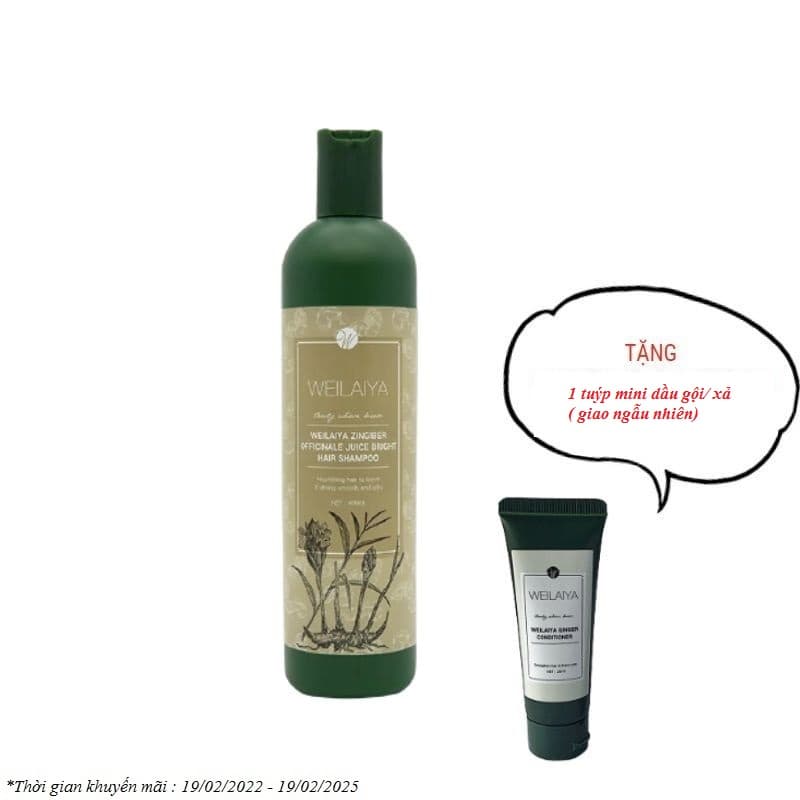 Dầu gội gừng hà thủ ô Weilaiya 400ml Nuôi dưỡng và phục hồi hư tổn cho mái tóc