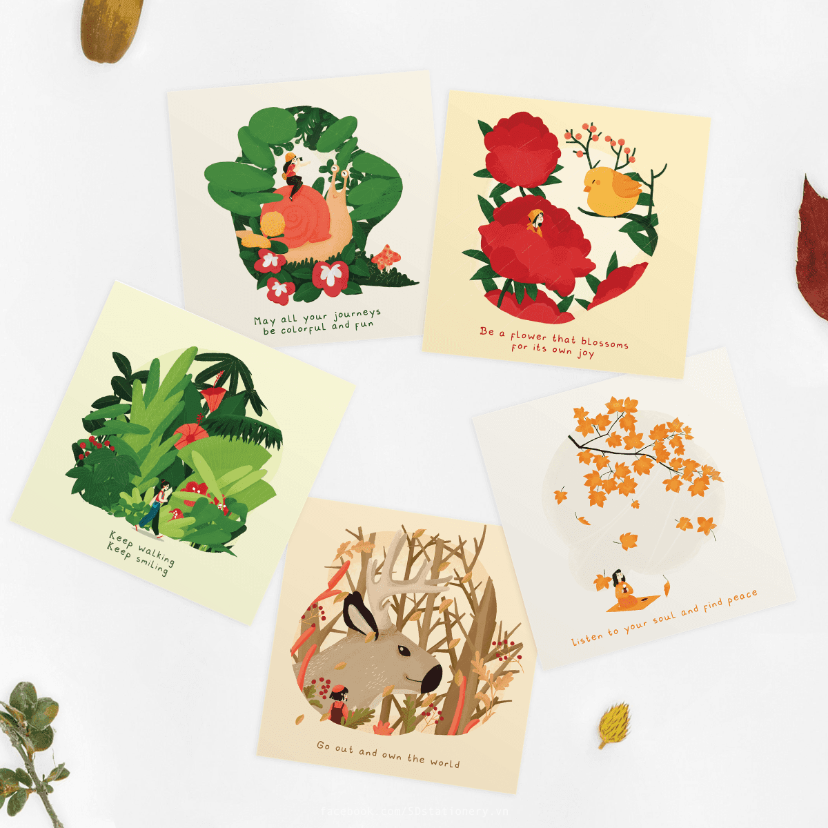 Thiệp mừng phụ nữ 83 2010 cảm ơn động viên truyền cảm hứng SDstationery BEAUTY SEASON cảm hứng thiên nhiên 12x12cm Set 5 thiệp