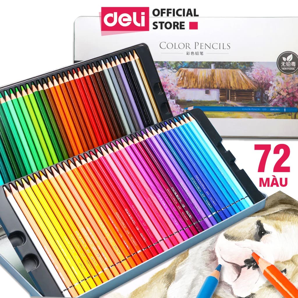 Bút chì màu gốc dầu cao cấp Deli 6565 6566 6567 24 màu 6565