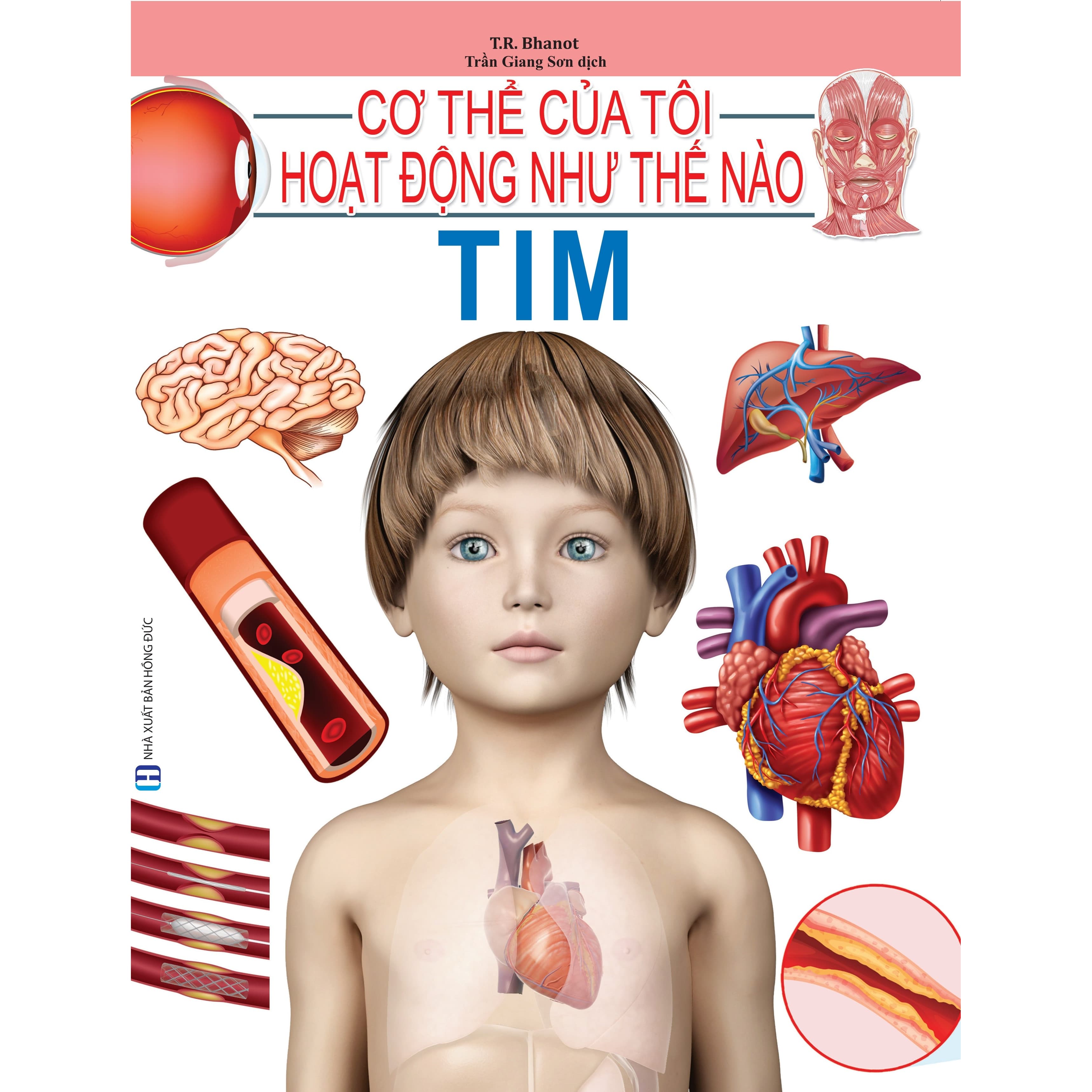 Cơ Thể Của Tôi Hoạt Động Như Thế Nào Tim