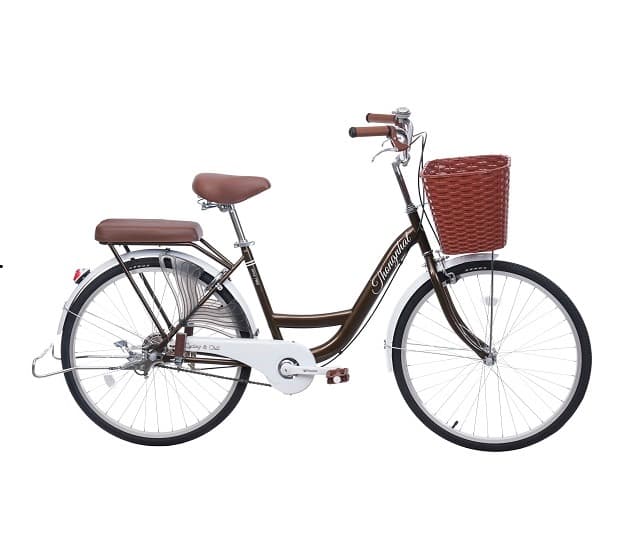 Xe đạp Thống Nhất mini 26 Nâu