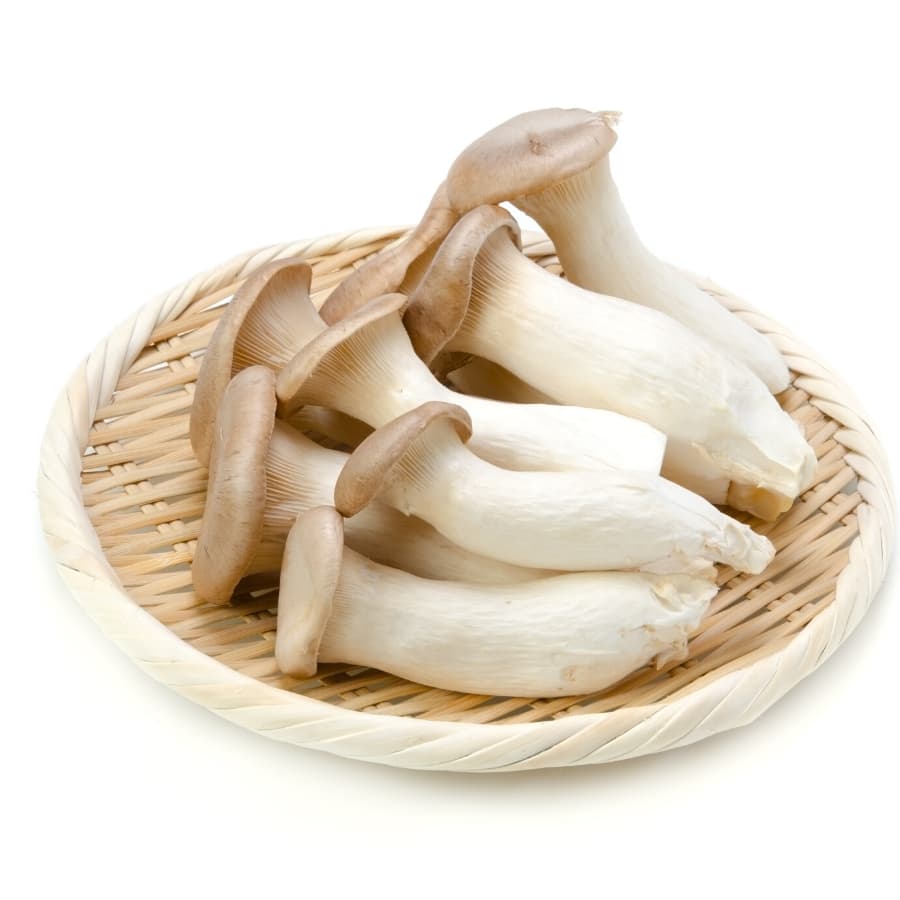 Chỉ Giao HCM Nấm Đùi Gà Rica Khay 200G