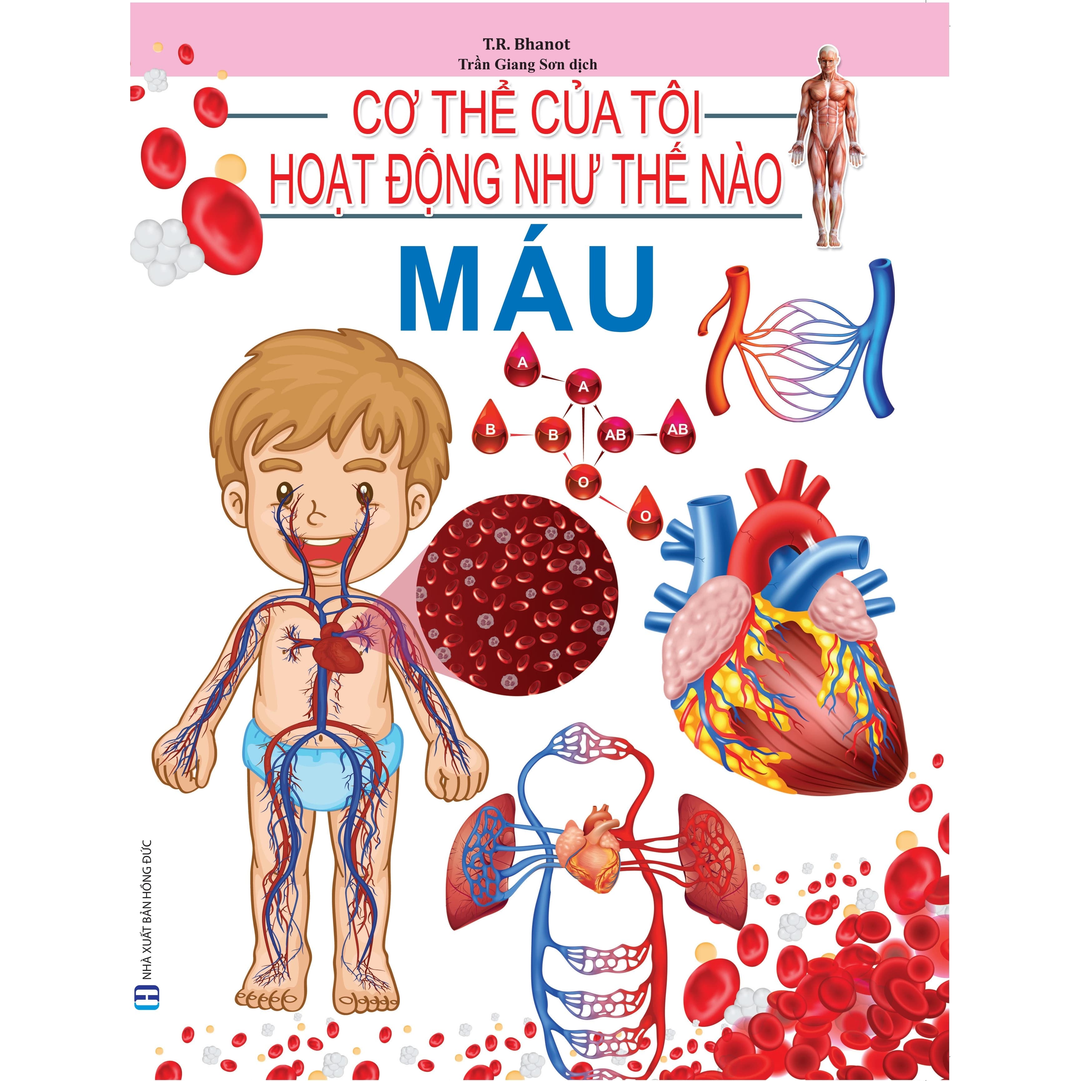 Cơ Thể Của Tôi Hoạt Động Như Thế Nào Máu