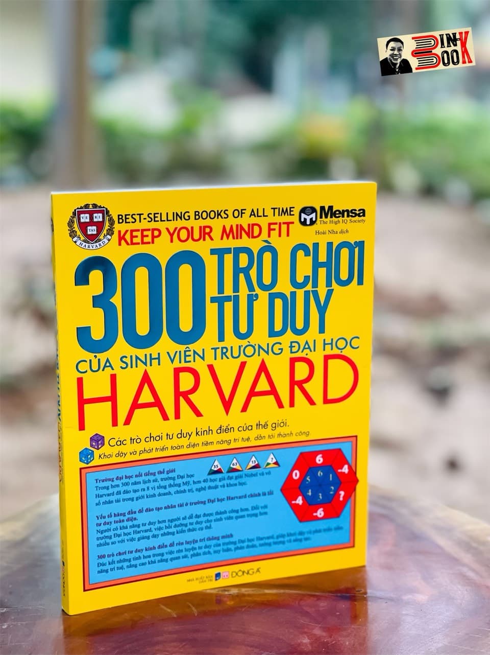 Minh hoạ màu 300 TRÒ CHƠI TƯ DUY CỦA SINH VIÊN TRƯỜNG ĐẠI HỌC HARVARD Mensa Hoài Nha minh hoạ Đông A NXB Dân Trí