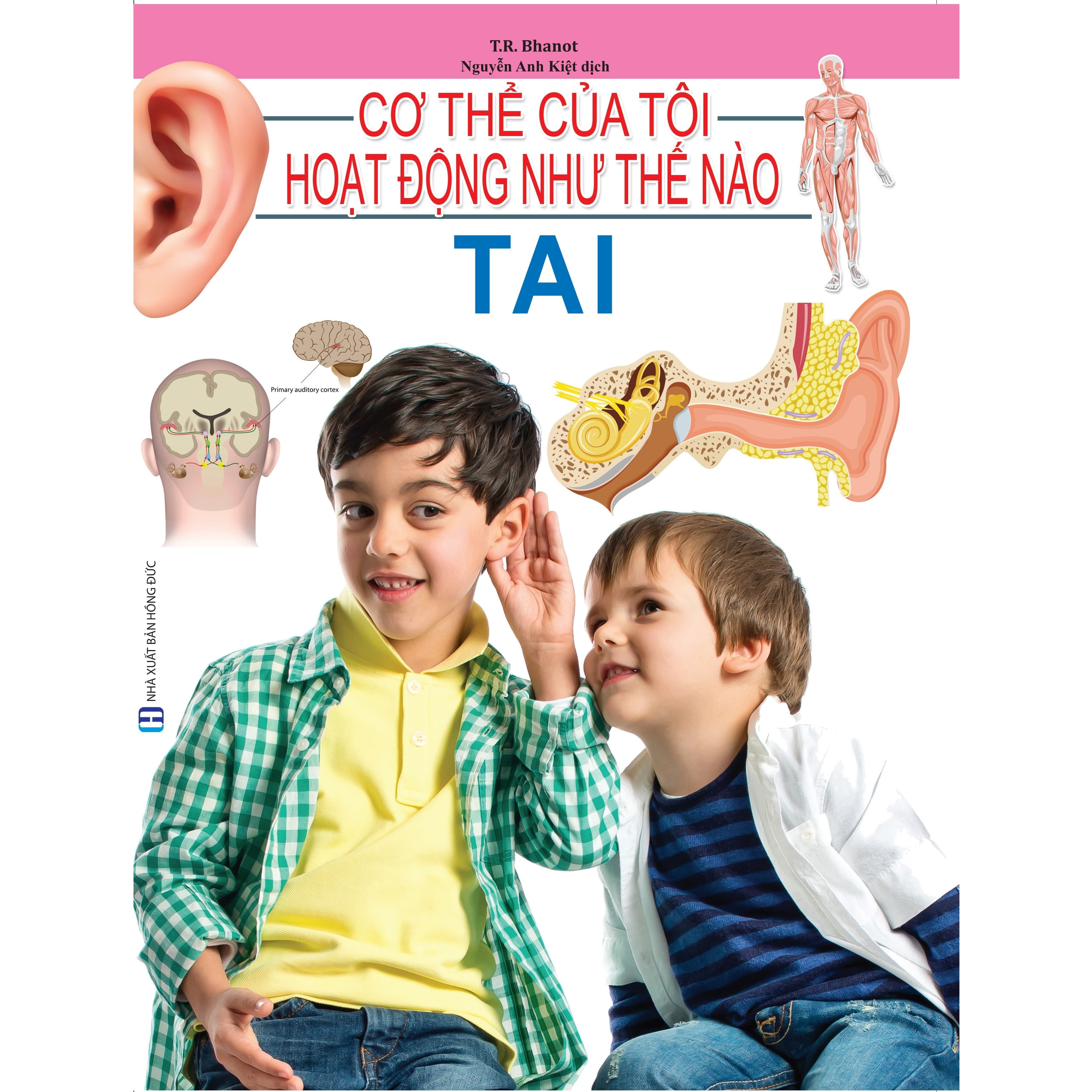 Cơ Thể Của Tôi Hoạt Động Như Thế Nào Tai