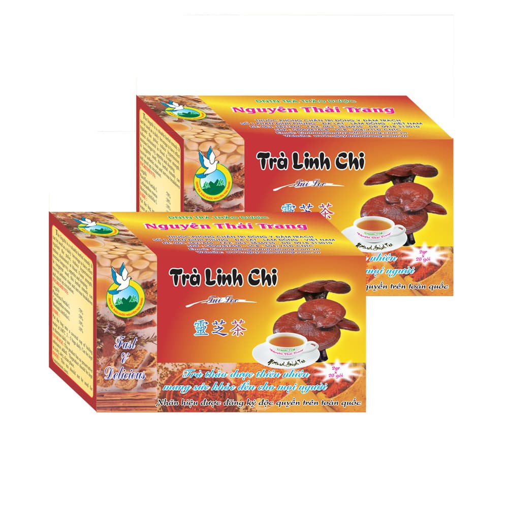Combo 5 Hộp Trà Linh Chi Hộp 20 Túi Lọc X 2gr Tăng Tuổi Thọ Bồi Bổ Sức Khỏe Nguyên Thái Trang Thảo Dược Thiên Nhiên