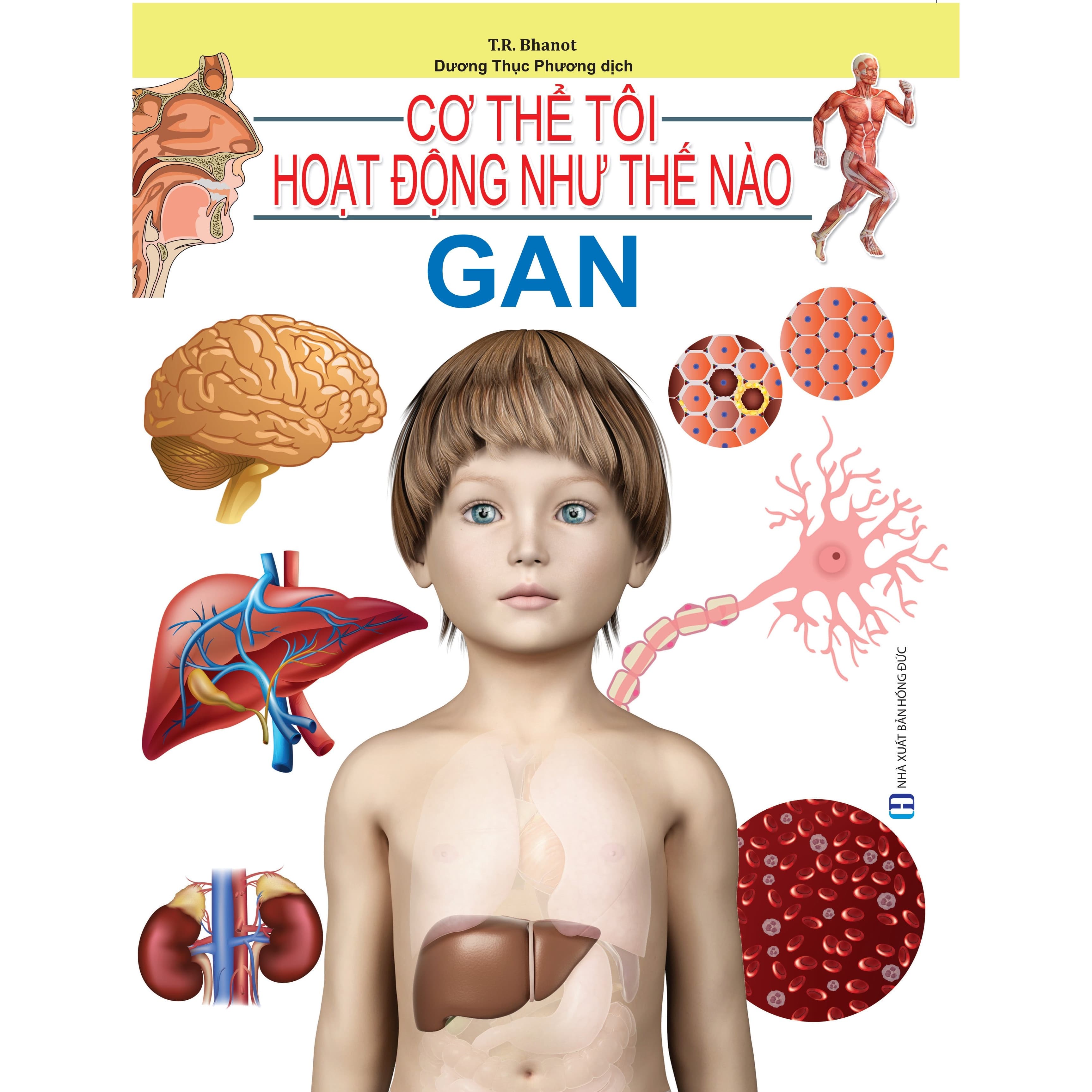Cơ Thể Của Tôi Hoạt Động Như Thế Nào Gan