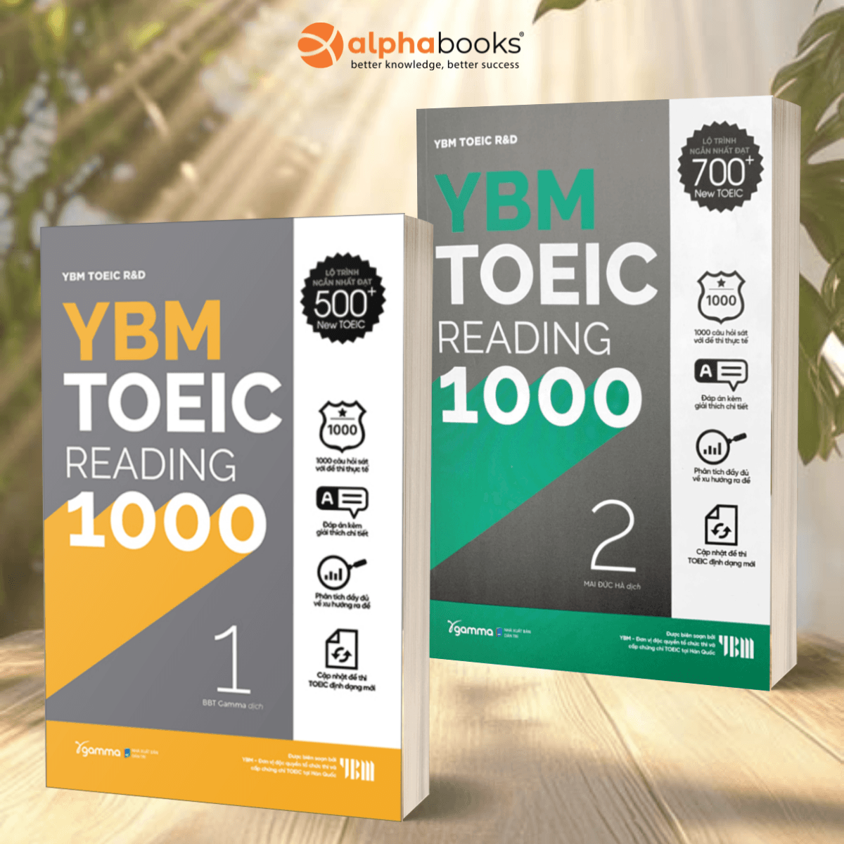 Combo YBM TOEIC Reading 1000 2 Vol Trọn Bộ 2 Cuốn