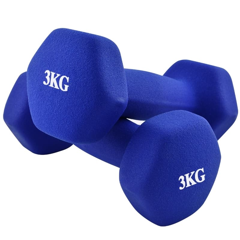 Bộ 2 tạ tay 3kg Model Q304 Q314 cao cấp tập Gym BG hàng nhập khẩu Lam