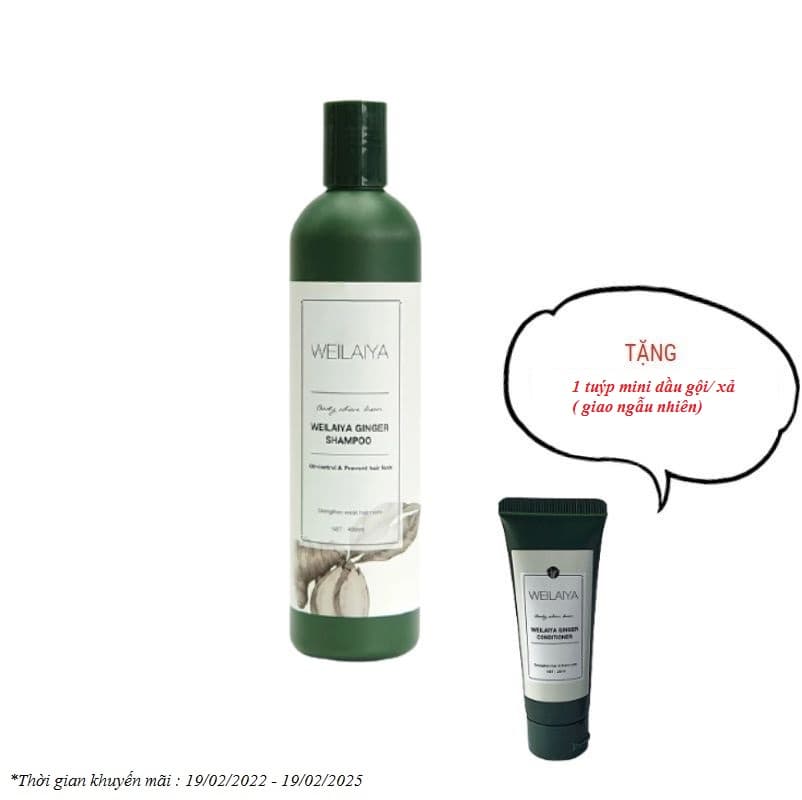Dầu gội gừng Weilaiya cao cấp 400ml trị rụng tóc kích thích mọc tóc