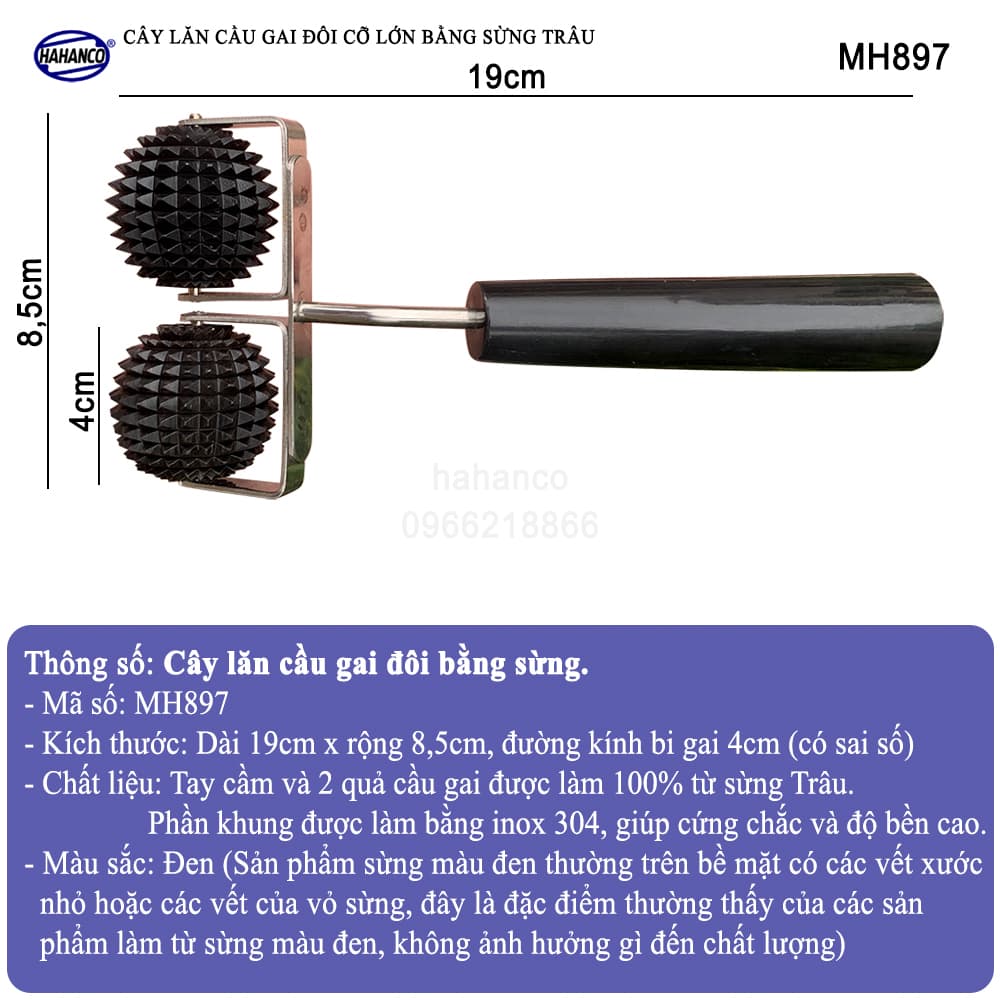 Cây lăn cầu gai cỡ lớn diện chẩn bằng sừng trâu đủ size mát xa toàn thân lưu thông máu phát tán chướng khí chữa đau khớp Lăn cầu gai 2 quả MH897