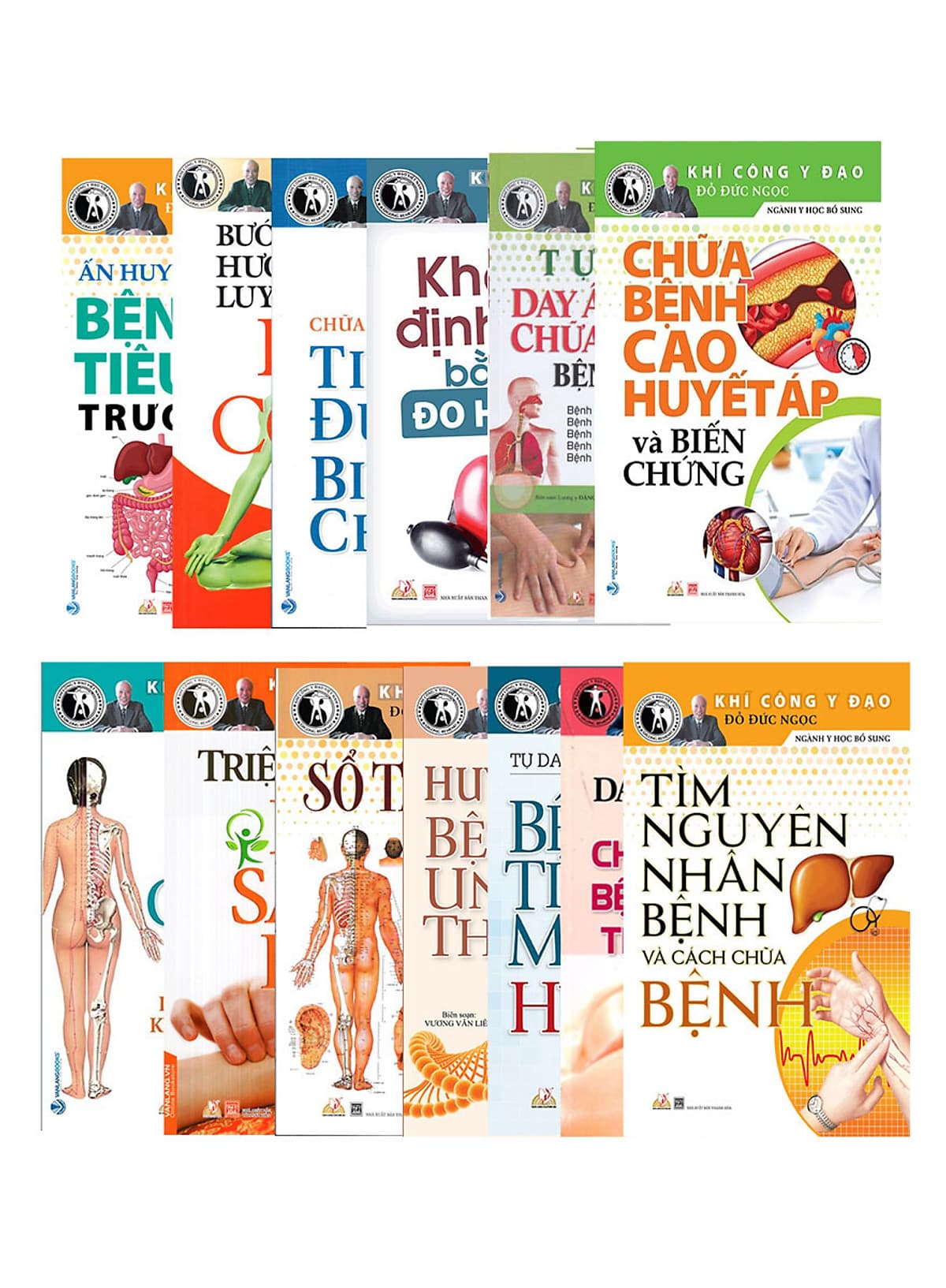 Combo Sách Khí Công Y Đạo Ngành Y Học Bổ Sung Bộ 13 Cuốn