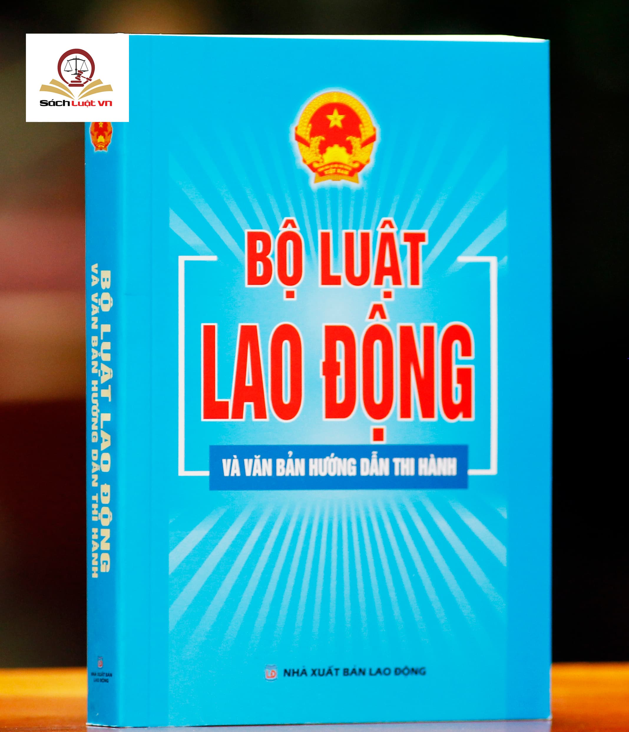 Bộ Luật Lao Động Và Văn Bản Hướng Dẫn Thi Hành