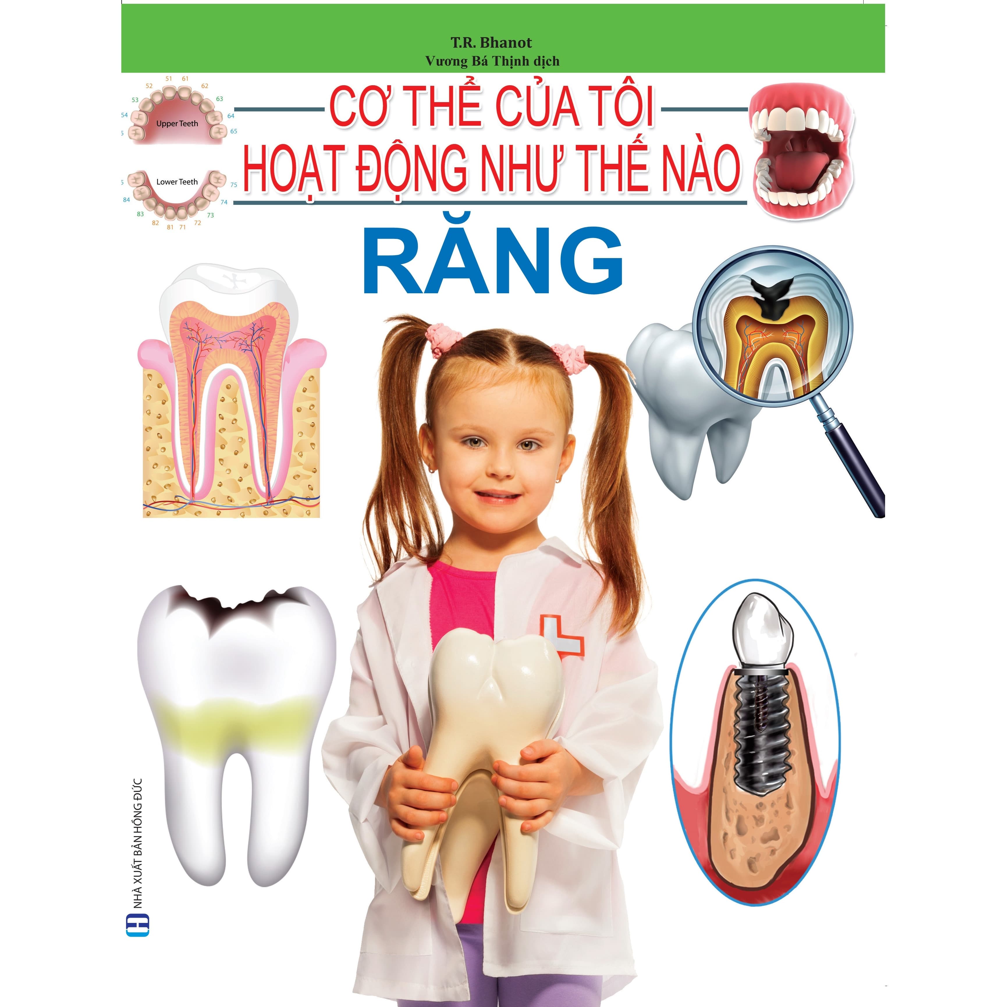 Cơ Thể Của Tôi Hoạt Động Như Thế Nào Răng