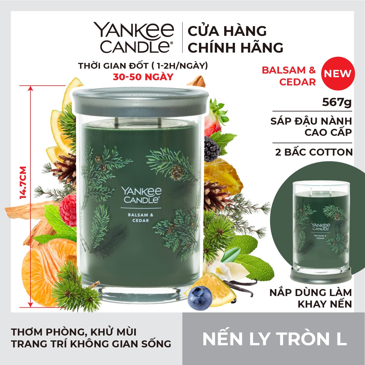 Nến ly tròn sáp đậu nành Yankee Candle size L 567g Balsam &Cedar