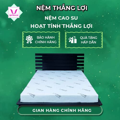 Nệm cao su hoạt tính Thắng Lợi độ dày 10cm 15cm 20cm 1m2x2mx20cm