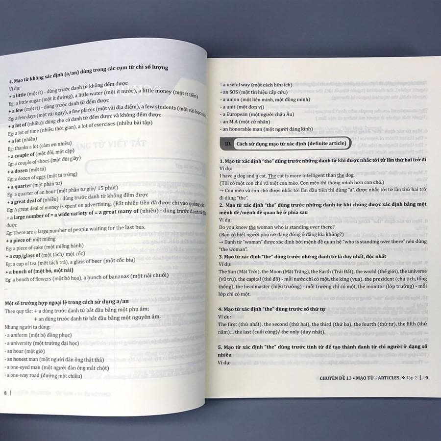 Sách 25 Chuyên Đề Ngữ Pháp Tiếng Anh Trọng Tâm Tập 2