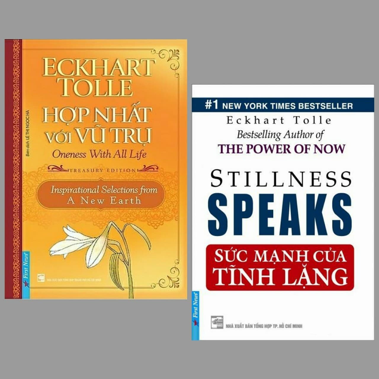 Combo 2 cuốn sách kĩ năng sống hay nhất của tác giả Eckhart Tolle Hợp Nhất Với Vũ Trụ Sức Mạnh Của Tĩnh Lặng Cuốn sách giúp bạn cảm nhận rõ nét nội tâm chính mình