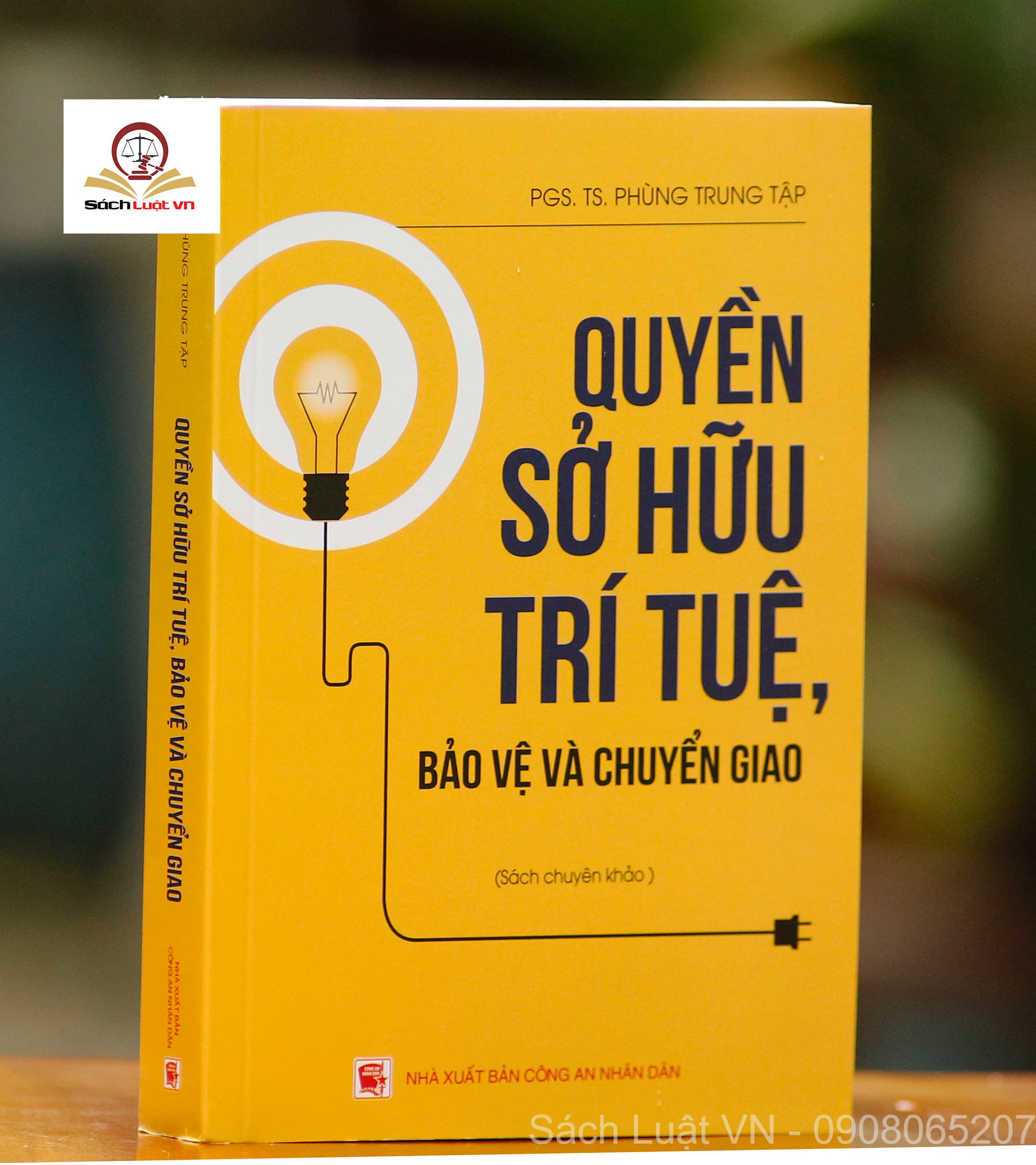 Quyền sở hữu trí tuệ bảo vệ và chuyển giao Sách chuyên khảo