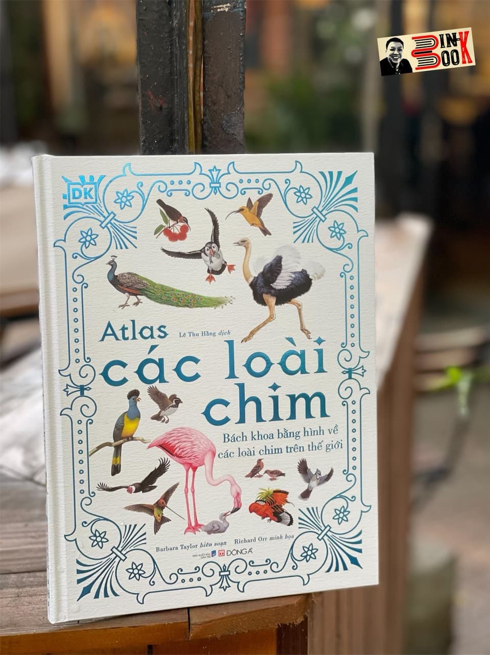 Bìa cứng in màu toàn bộ A.TLAS CÁC LOÀI CHIM Barbara Taylor Lê Thu Hằng dịch Đông A NXB Dân Trí