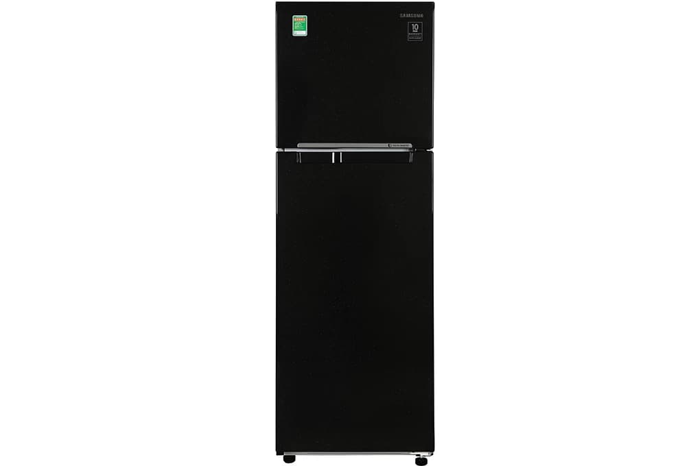 Samsung Inverter 256 lít RT25M4032BU SV