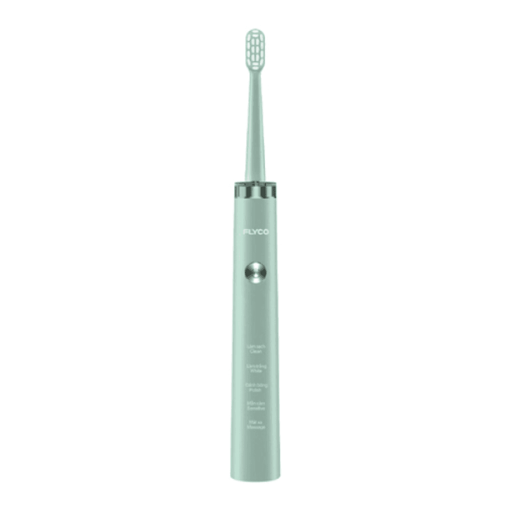 Bàn chải đánh răng điện Flyco FT1701VN