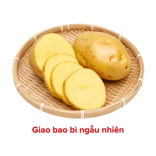 Khoai tây vàng Đà Lạt VietGAP túi 500g