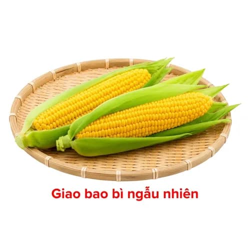 Bắp giống Mỹ cặp 500g (1 Cặp)