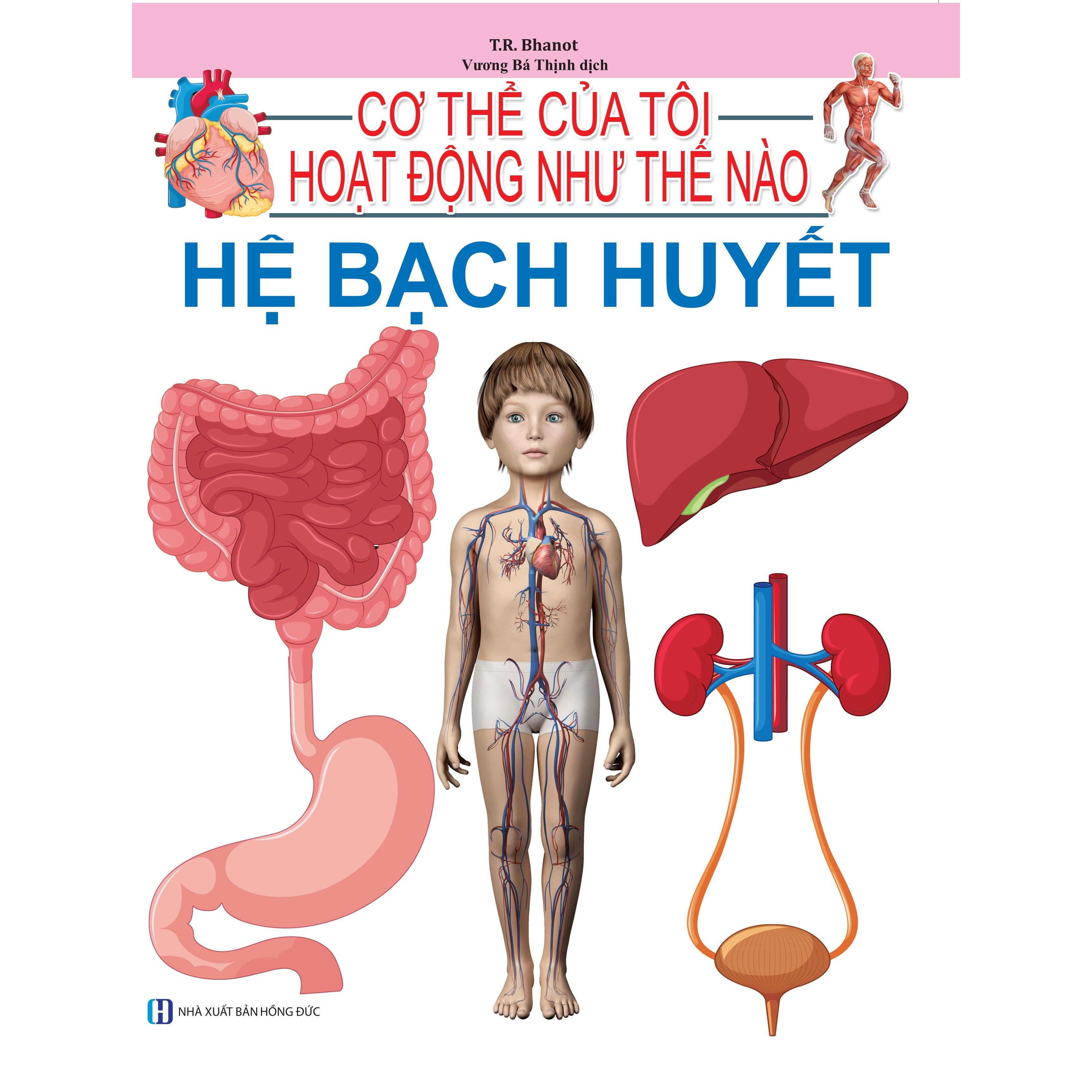 Cơ Thể Của Tôi Hoạt Động Như Thế Nào Hệ Bạch Huyết