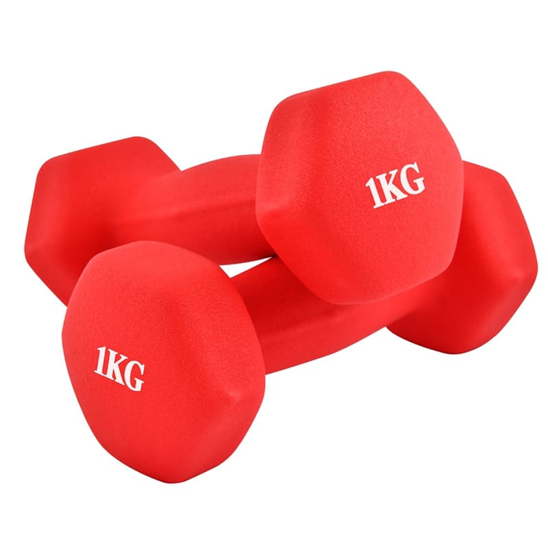 Bộ 2 tạ tay Thái Lan 1kg cao cấp Model Q304 Q314 tập Gym tại nhà hàng nhập khẩu Đỏ