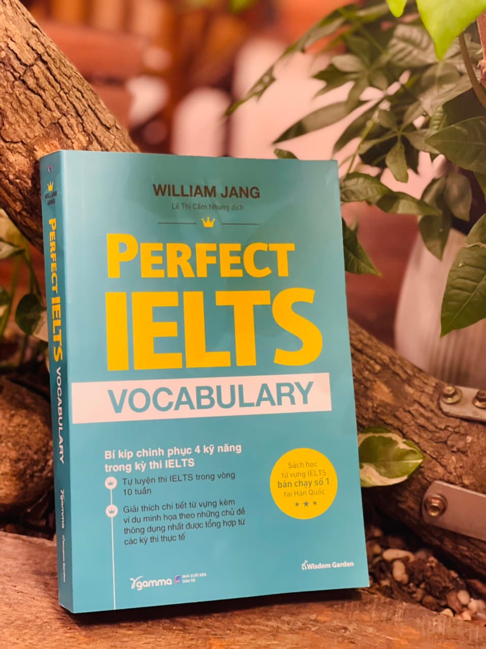 PERFECT IELTS VOCABULARY Bí Kiếp Chinh Phục 4 Kỹ Năng Trong Kỳ Thi IELTS William Jang Lê Thị Cẩm Nhung dịch Alphabooks Nhà Xuất Bản Dân Trí