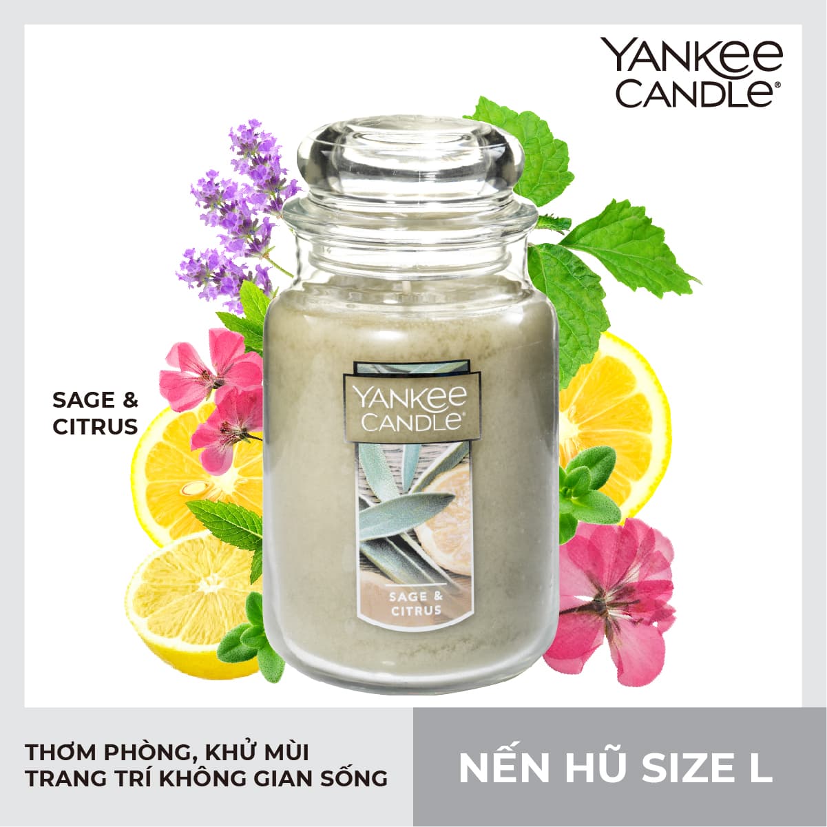 Nến hũ Yankee Candle Sage &Citrus L 623g