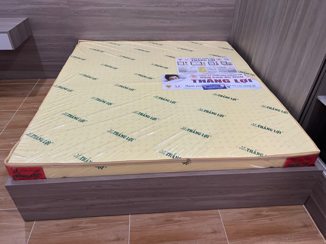 Nệm cao su non Thắng Lợi size 1m6x2mx10cm