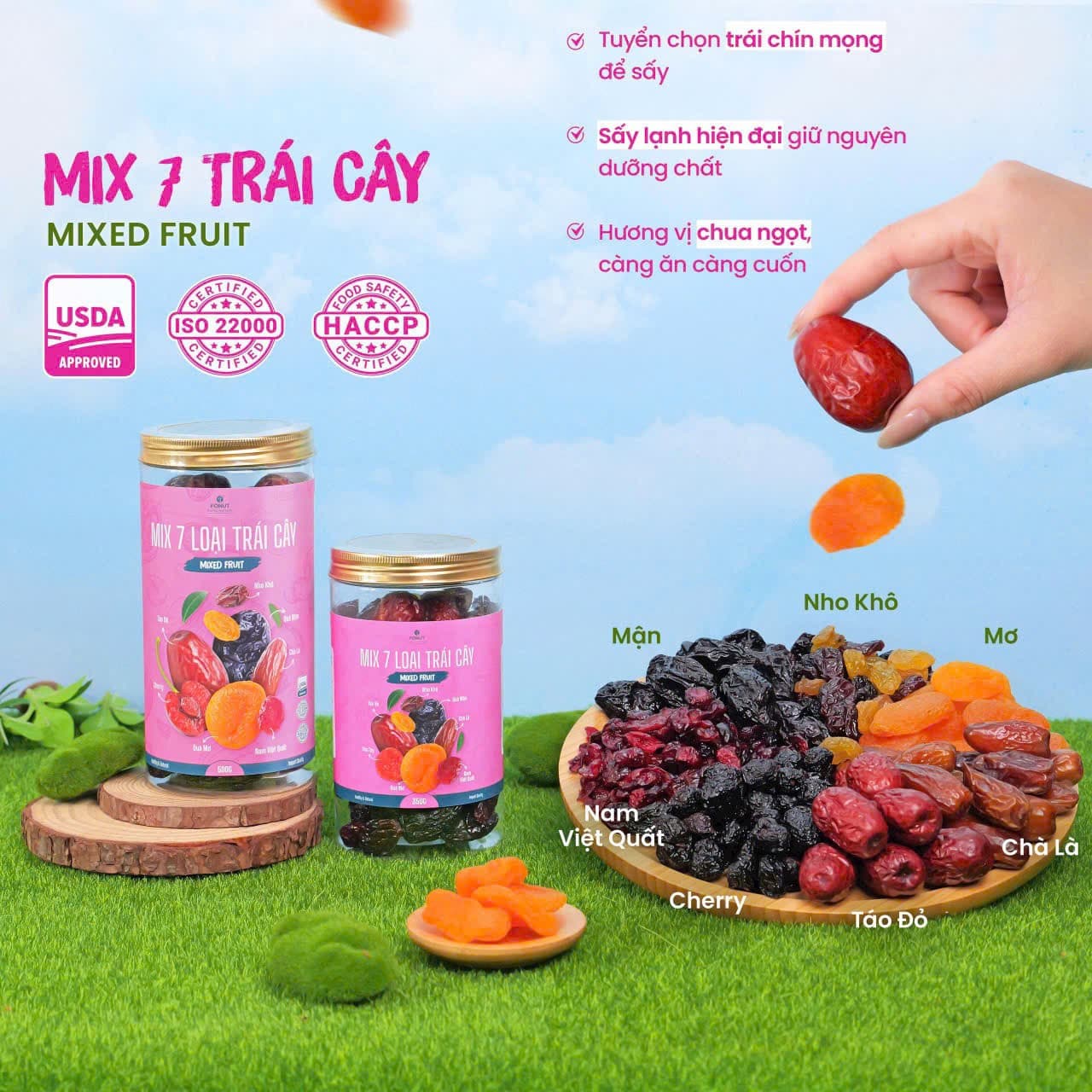 Mix 7 Loại Trái Cây Sấy Táo đỏ Chà là nguyên cành Nho khô Dâu Tây Nam Việt Quất Mơ sấy Mận khô hộp 500gr
